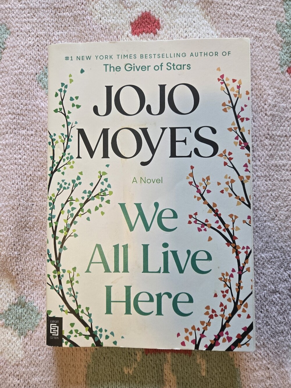 Jojo Moyes "We All Live Here" Paperback Novel